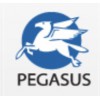Pegasus