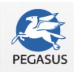 Pegasus